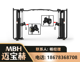 遵义大飞鸟训练器