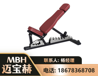 遵义可调哑铃椅